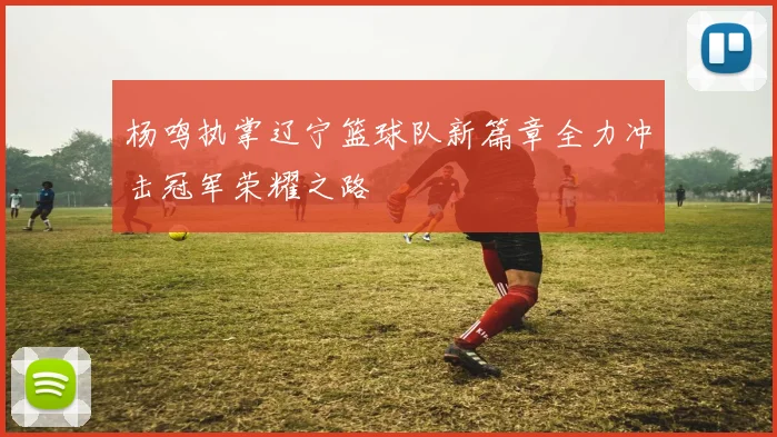 杨鸣执掌辽宁篮球队新篇章全力冲击冠军荣耀之路