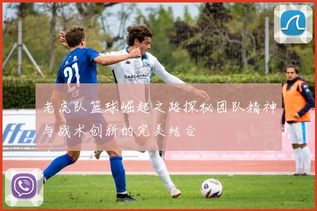 老虎队篮球崛起之路探秘团队精神与战术创新的完美结合