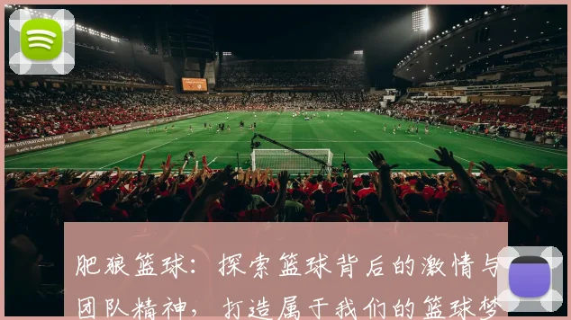 肥狼篮球：探索篮球背后的激情与团队精神，打造属于我们的篮球梦想