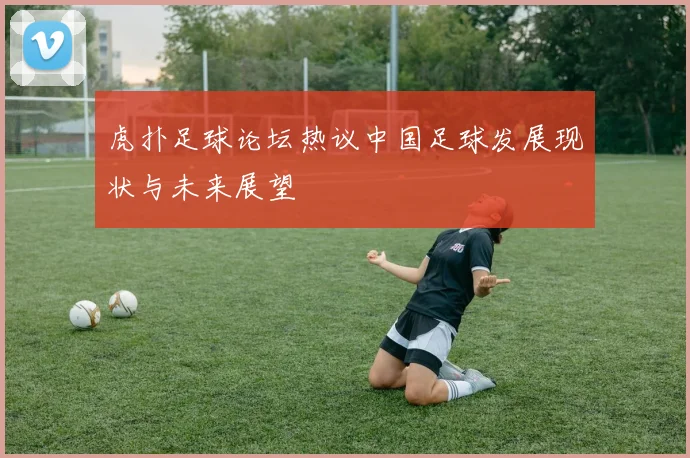 虎扑足球论坛热议中国足球发展现状与未来展望