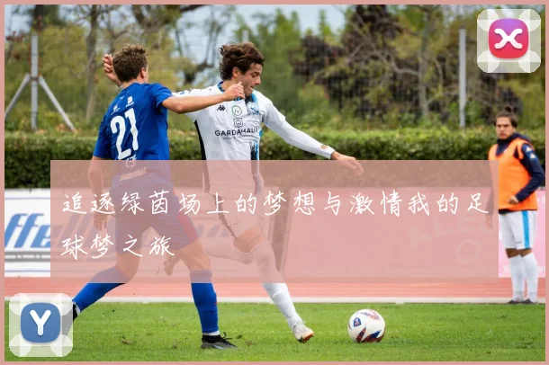 追逐绿茵场上的梦想与激情我的足球梦之旅