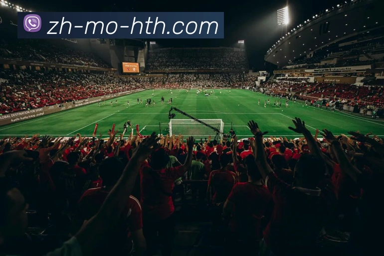 多媒体互动体验